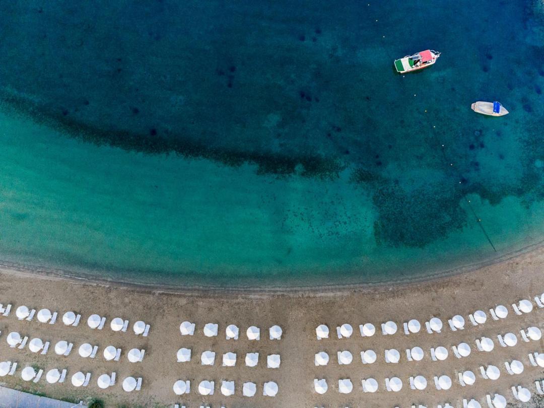 Palmariva Beach Hotel Erétria Exteriör bild